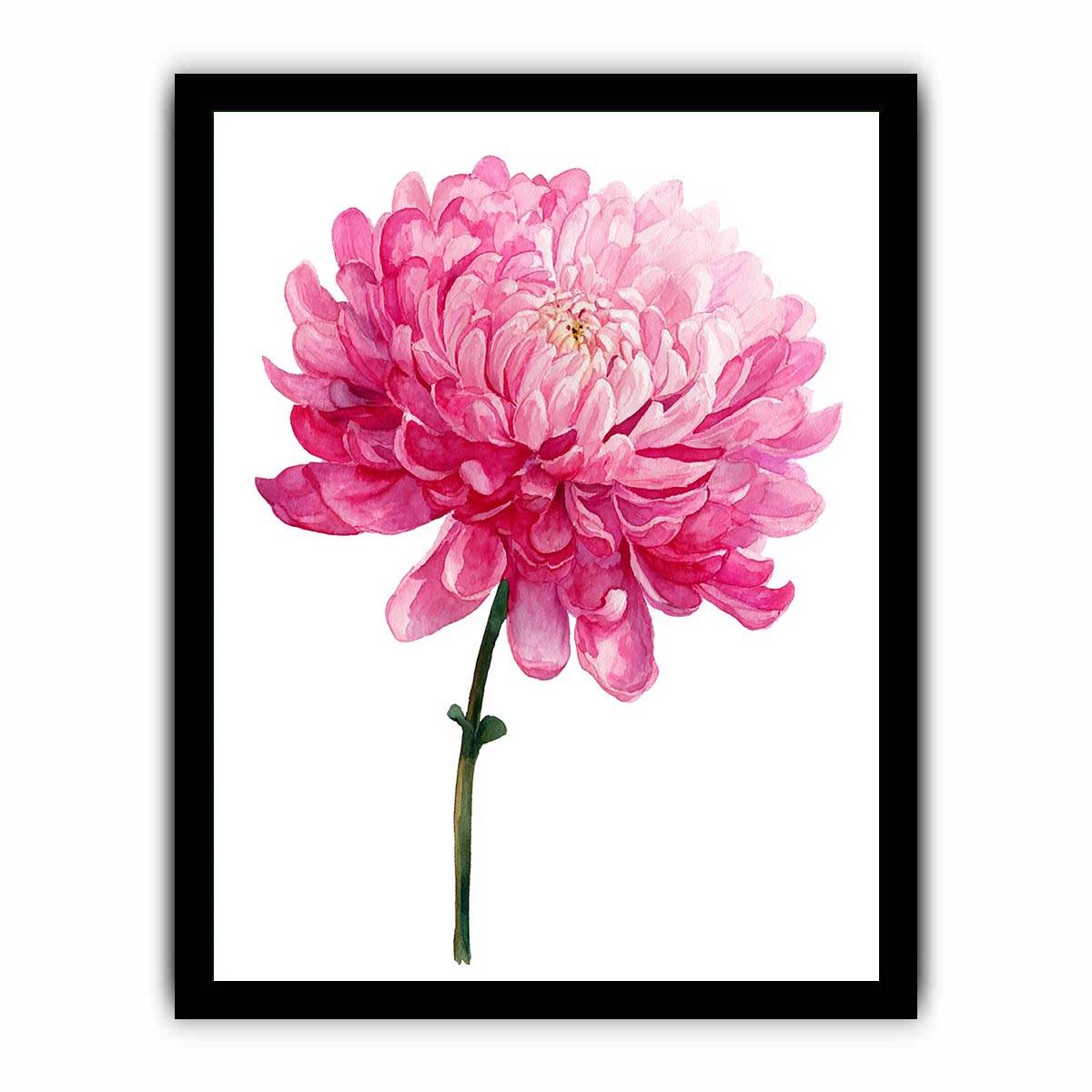 Pink Chrysanthemum Flower Painting