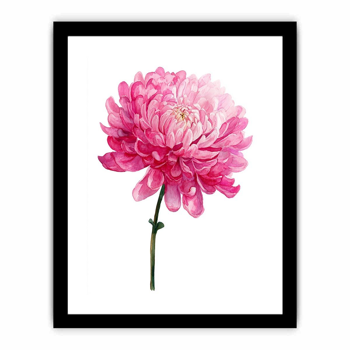 Pink Chrysanthemum Flower Painting   Framed poster