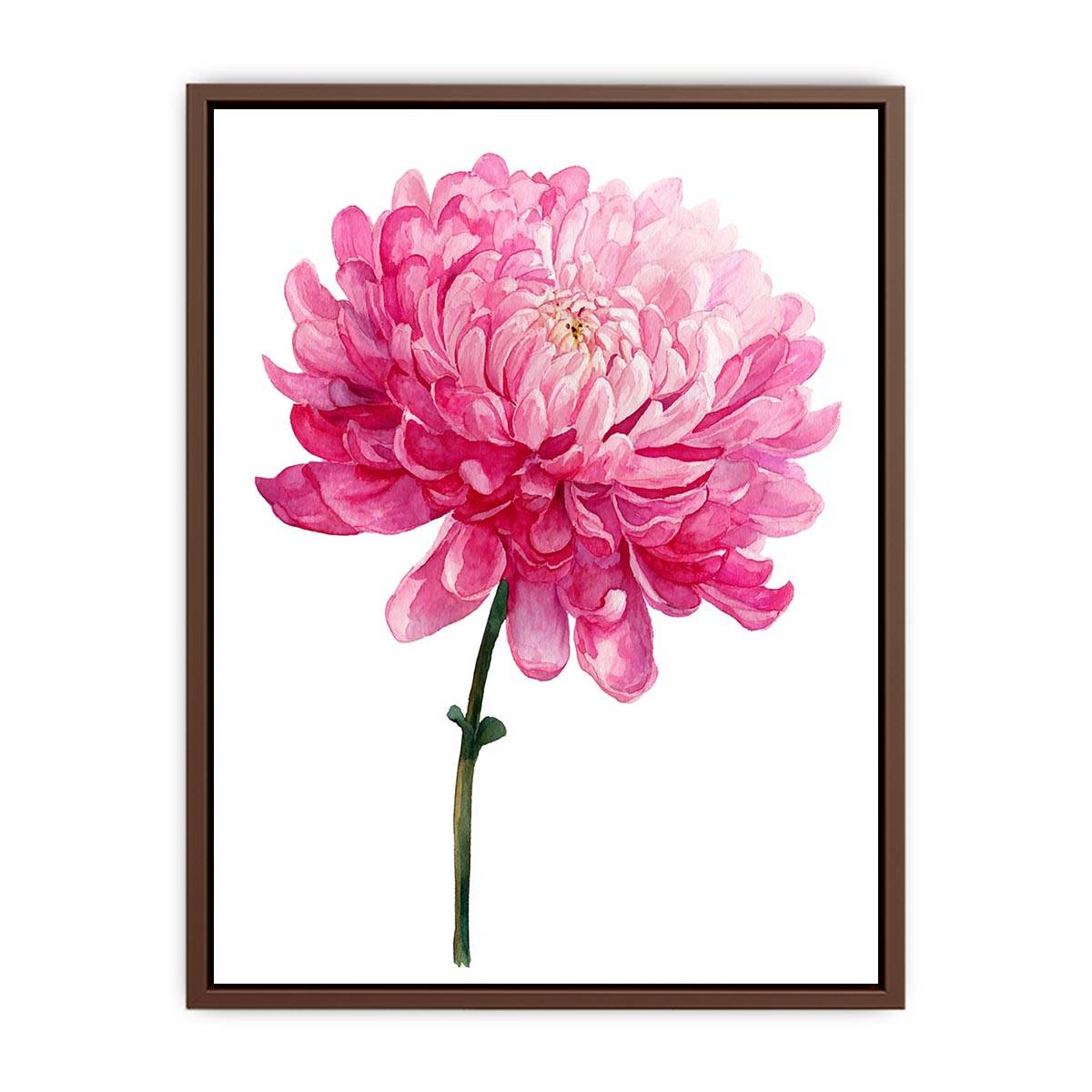 Pink Chrysanthemum Flower Painting  Art Print