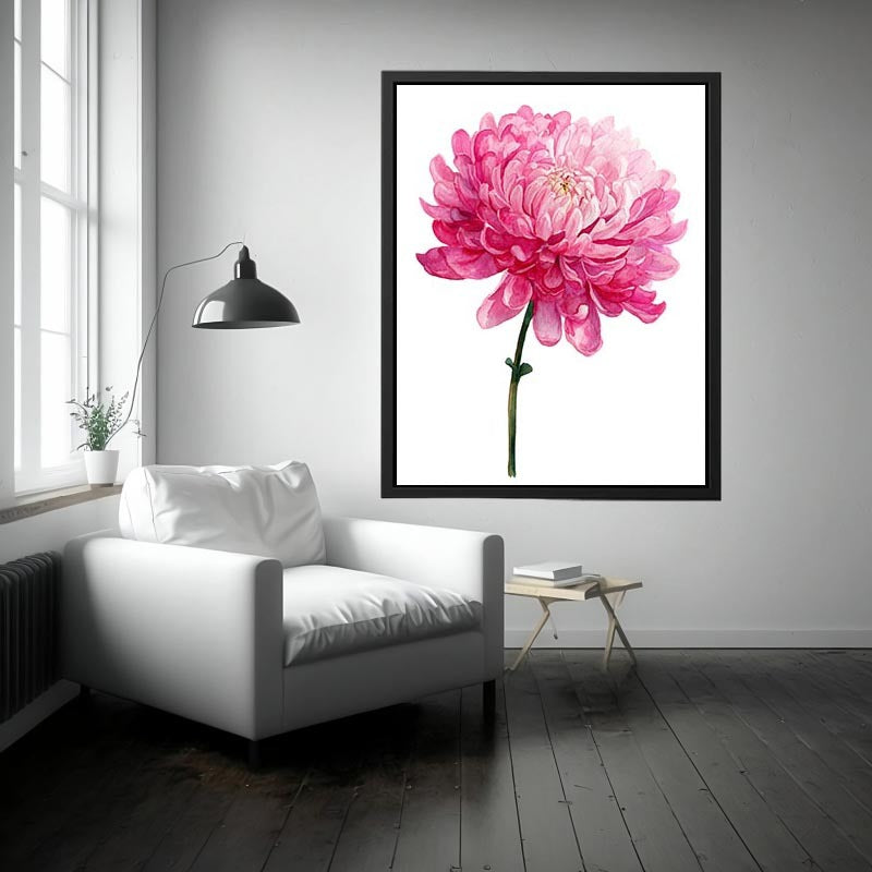 Pink Chrysanthemum Flower Painting