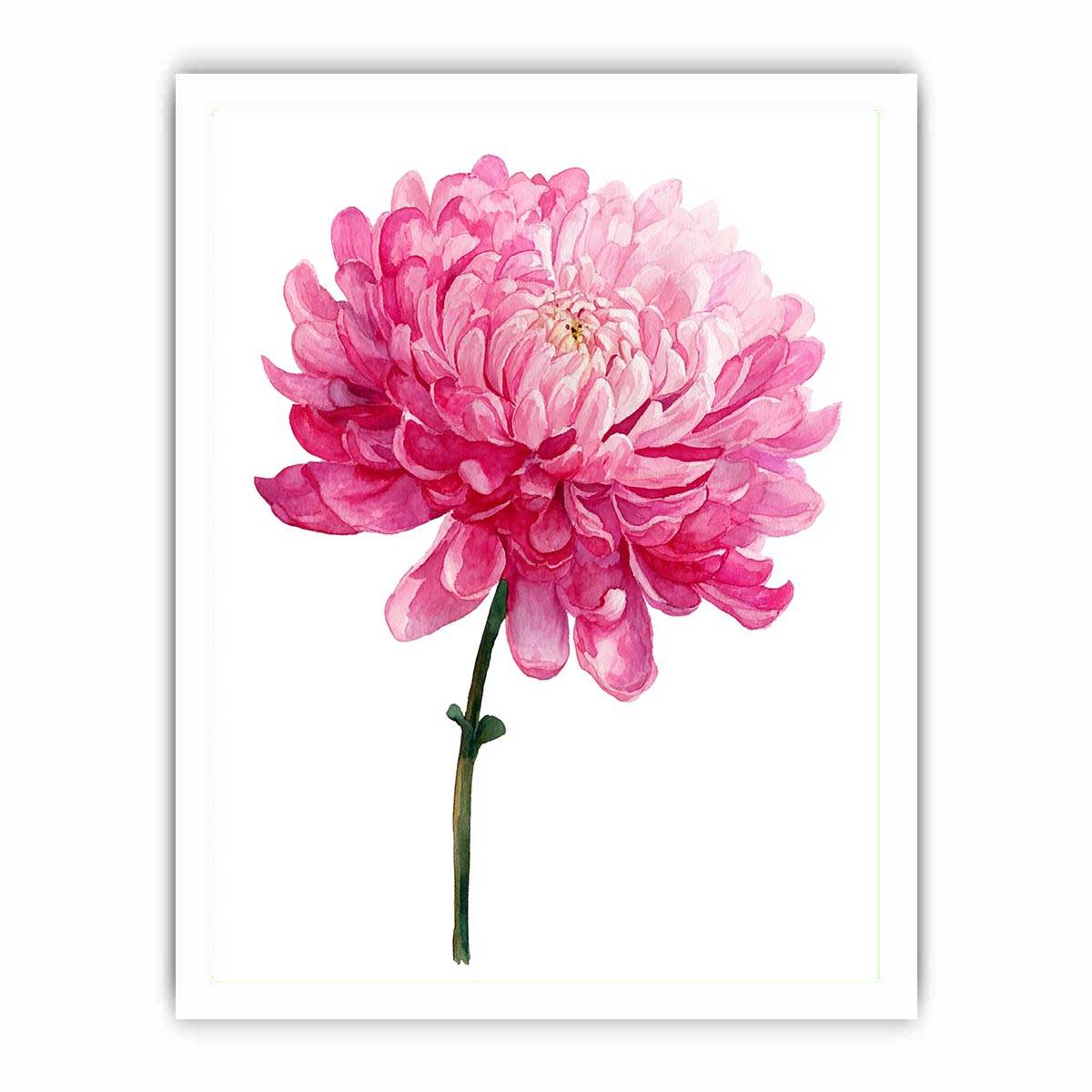 Pink Chrysanthemum Flower Painting