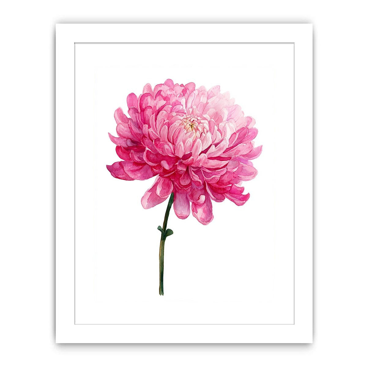Pink Chrysanthemum Flower Painting  Painting