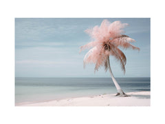 Silver Pink Beach Tree Canvas Print