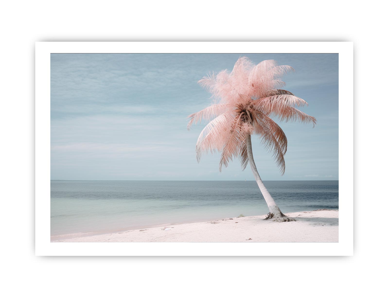 Silver Pink Beach Tree Canvas Print