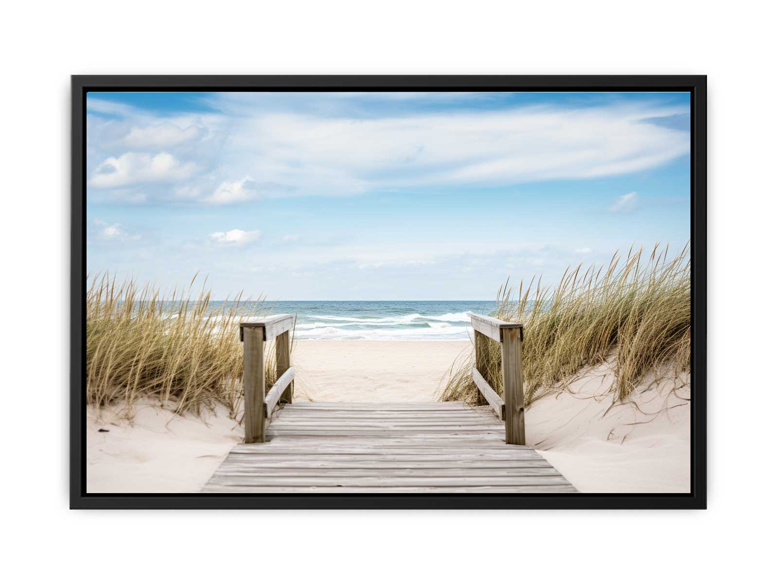 Beach Path Canvas Art Print