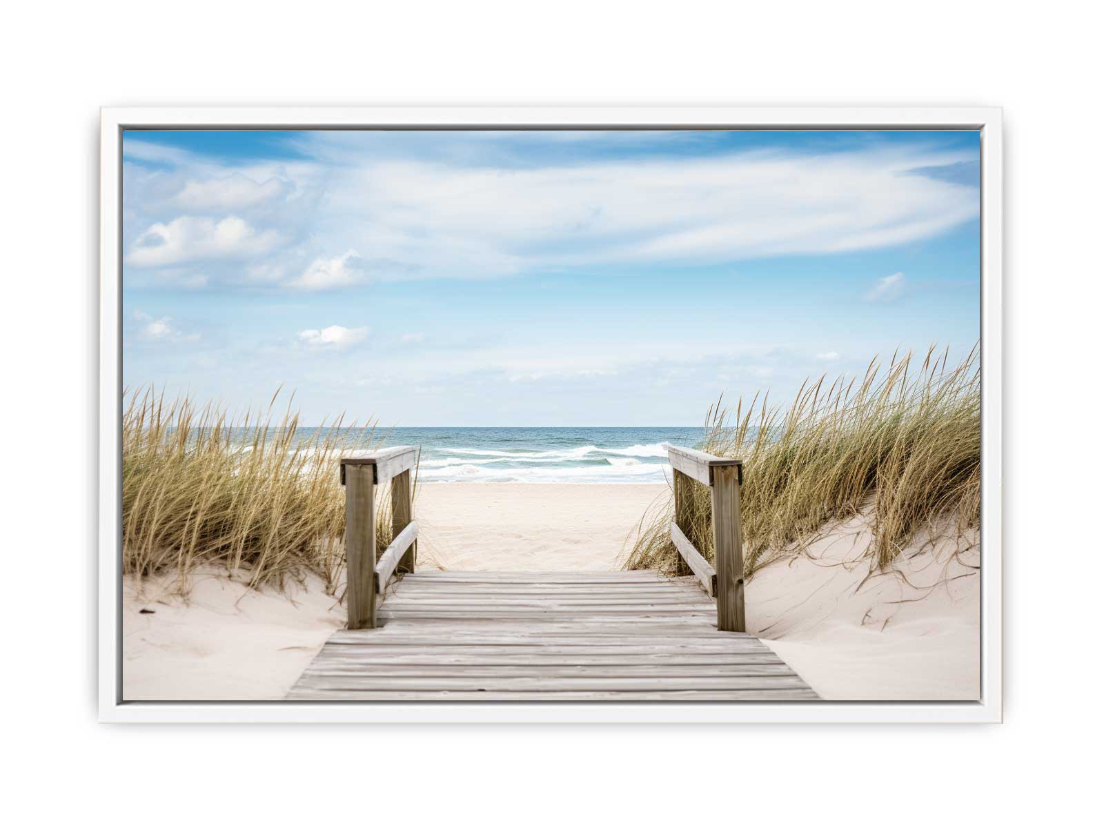 Beach Path Canvas Art Print