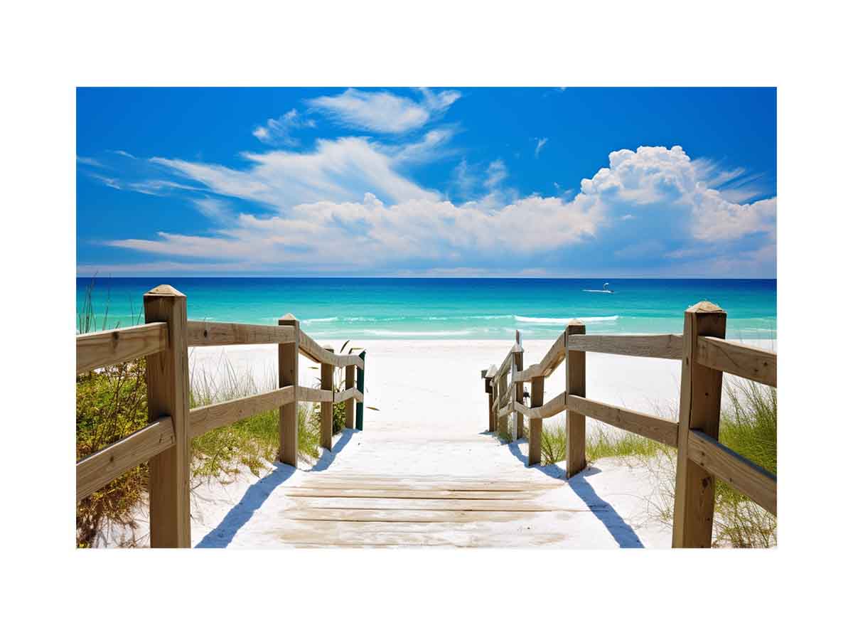 Beach Path Painting Canvas Print