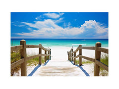 Beach Path Painting Canvas Print