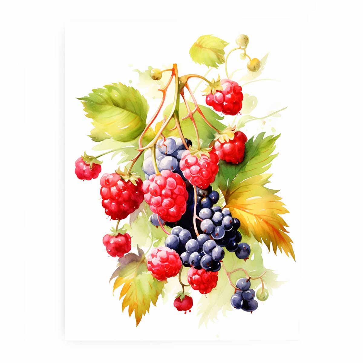 Berries  Canvas painting  Print
