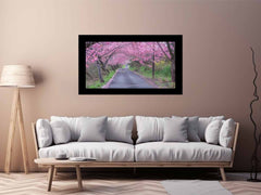 Cherry Blossom Path Canvas painting  Print