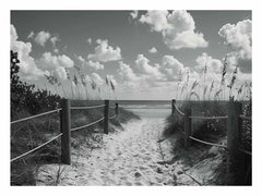 Beach Path Canvas Print balck & white Photogrpahy