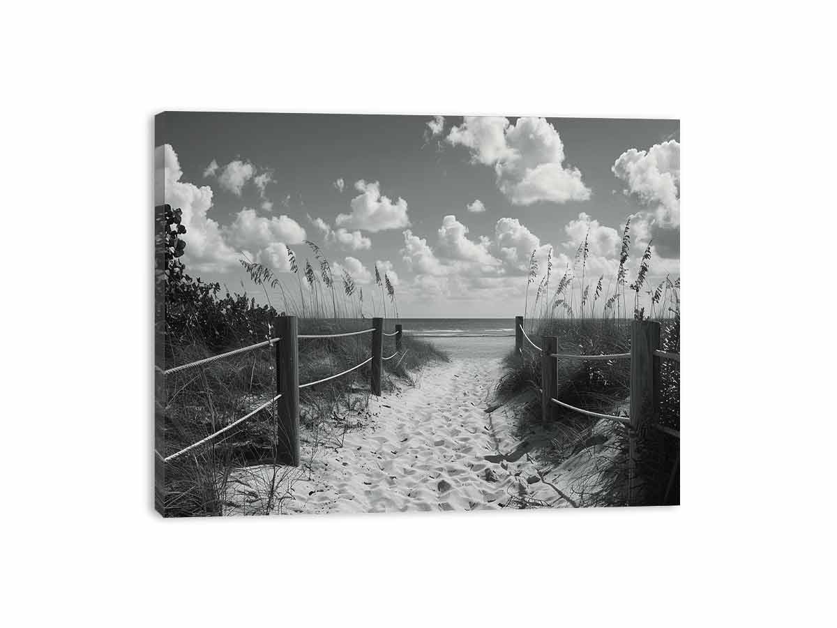 Beach Path Canvas Print balck & white Photogrpahy
