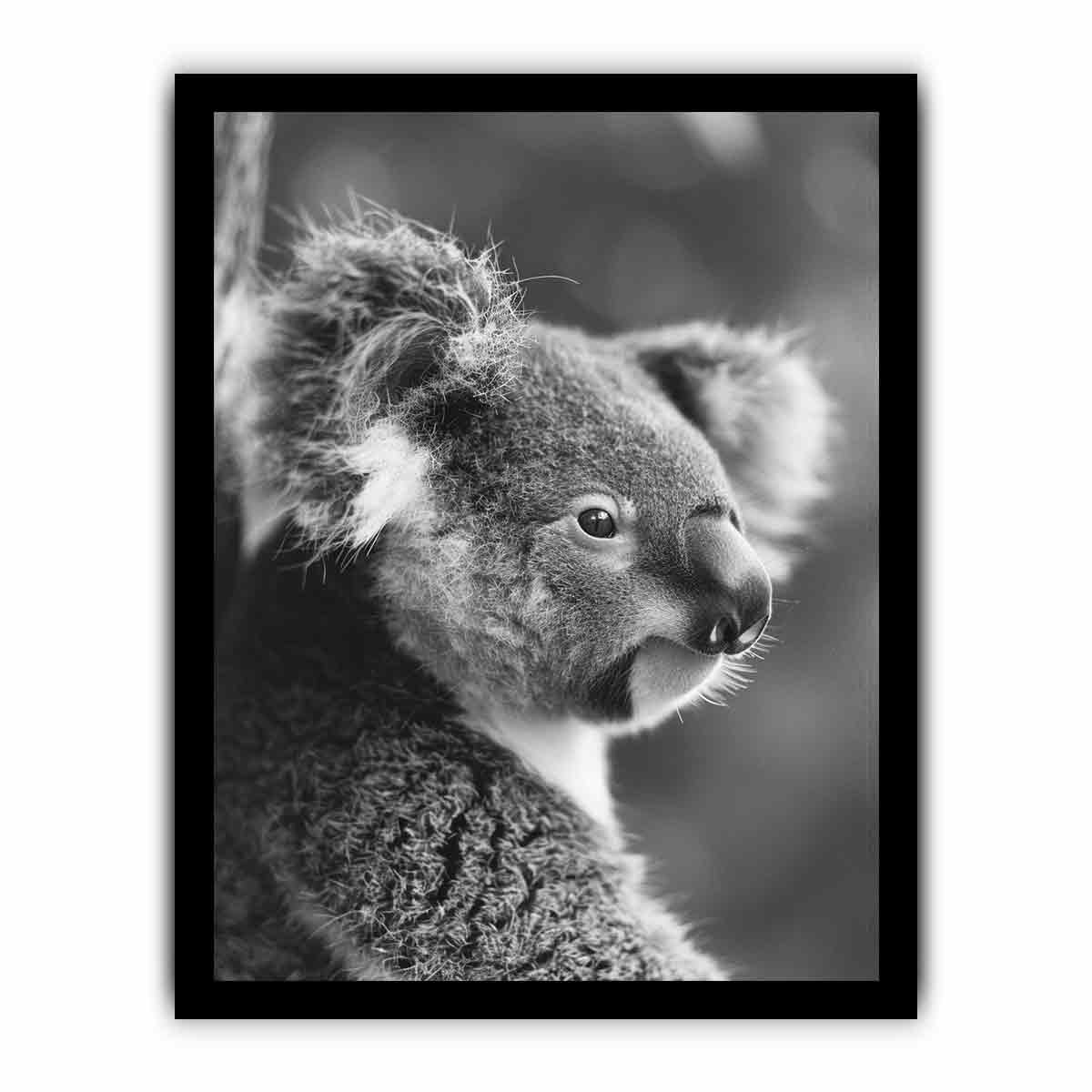 Baby Koala Canvas Print Photogrpahy art