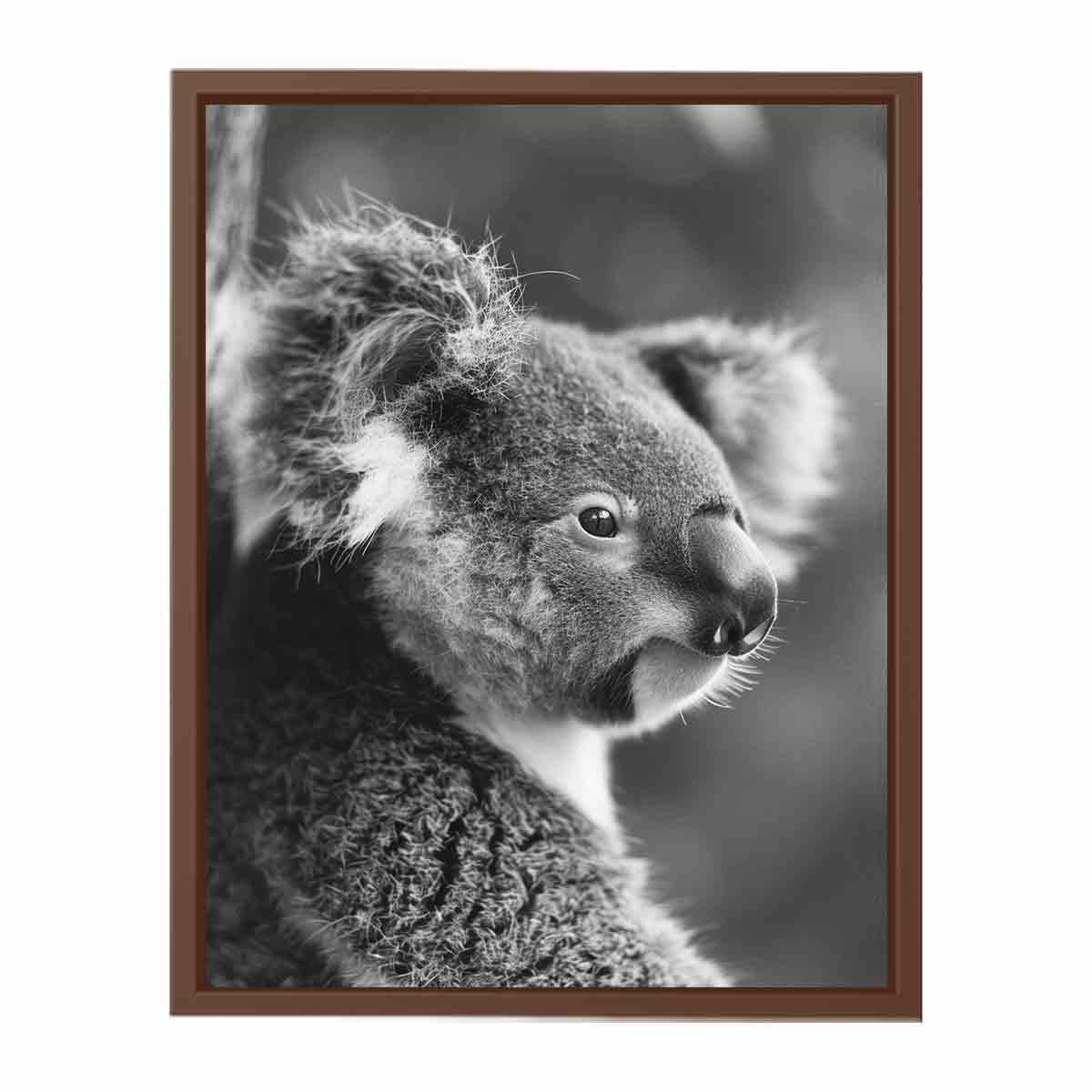 Baby Koala Canvas Print Photogrpahy art
