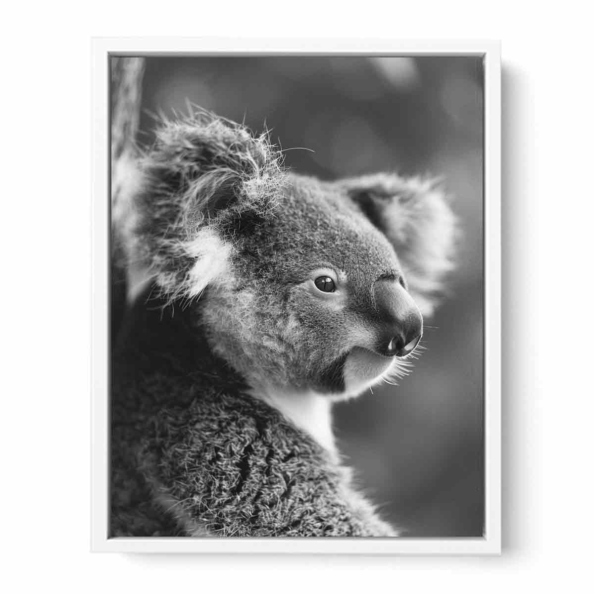 Baby Koala Canvas Print Photogrpahy art