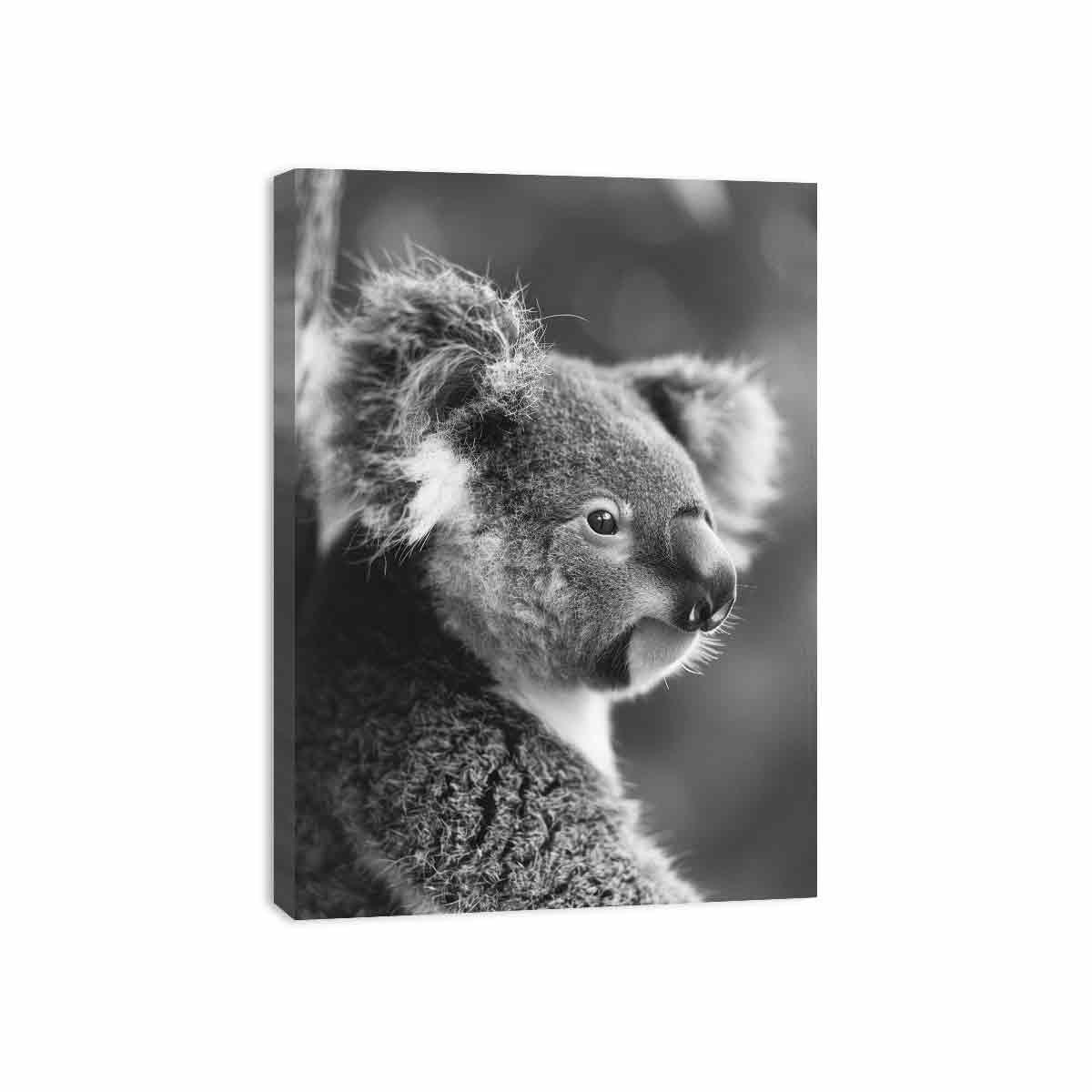 Baby Koala Canvas Print Photogrpahy art