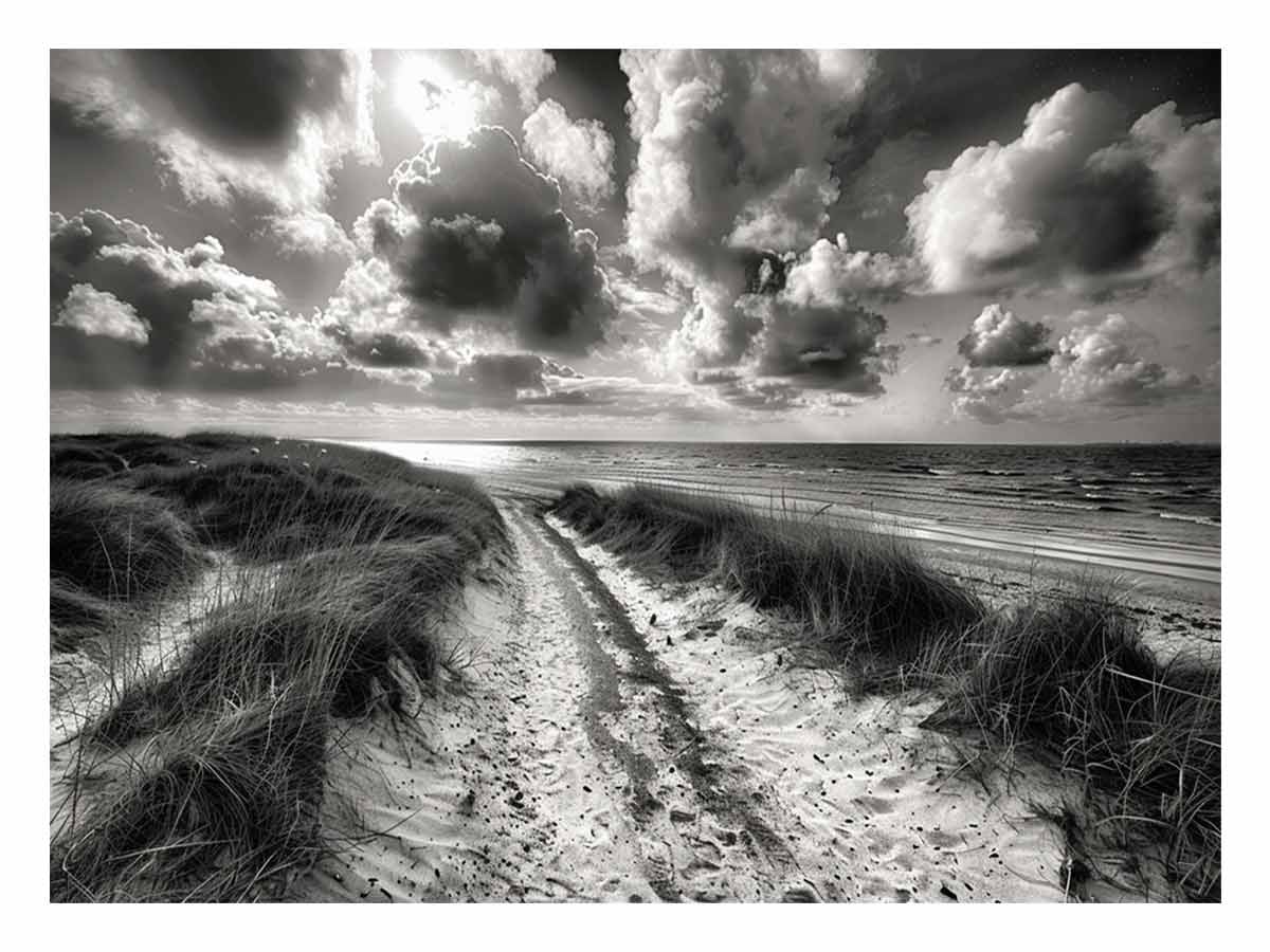 Beach Path  balck & white Canvas Print