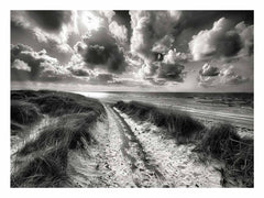 Beach Path  balck & white Canvas Print