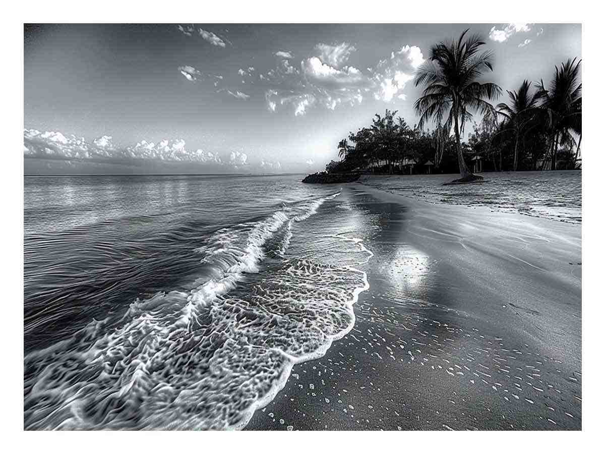 Beach  black & white Canvas Print