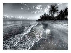 Beach  black & white Canvas Print