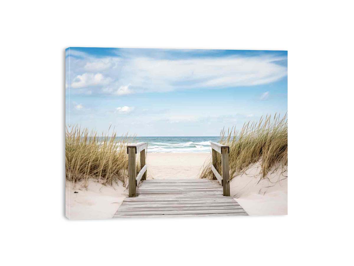 Beach Path Canvas Art Print