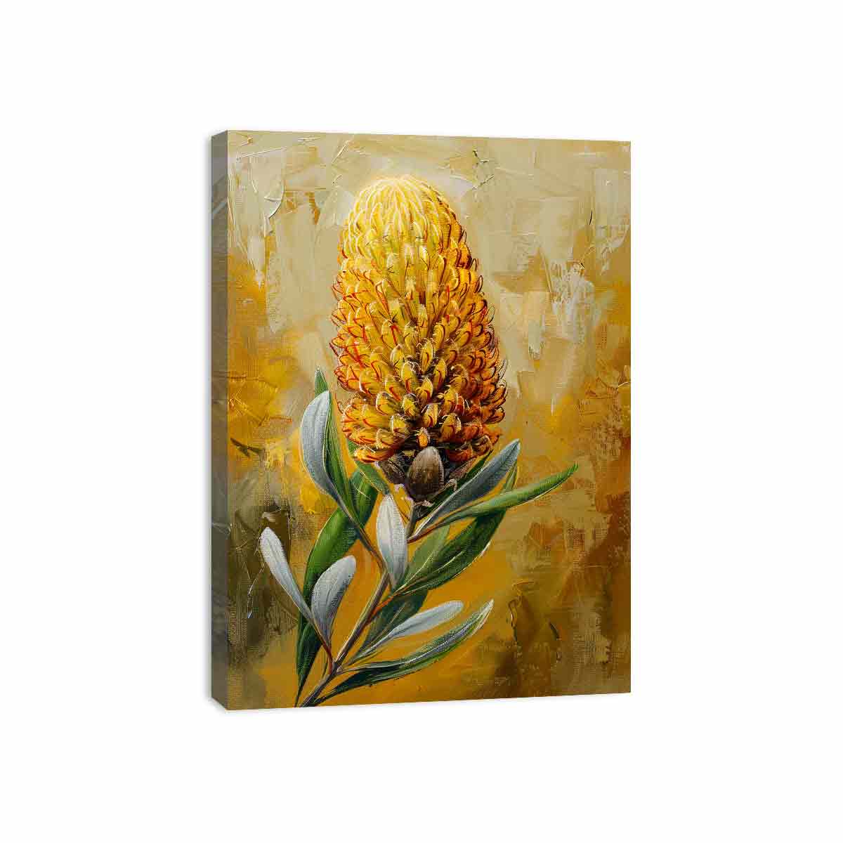 Banksia flower Painting Canvas Print