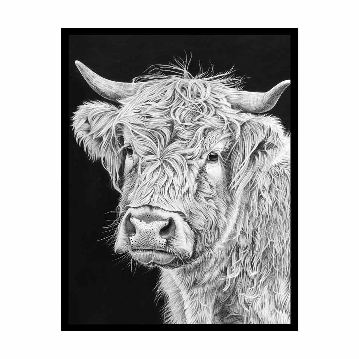 Henrietta The Highland Cow Canvas Print