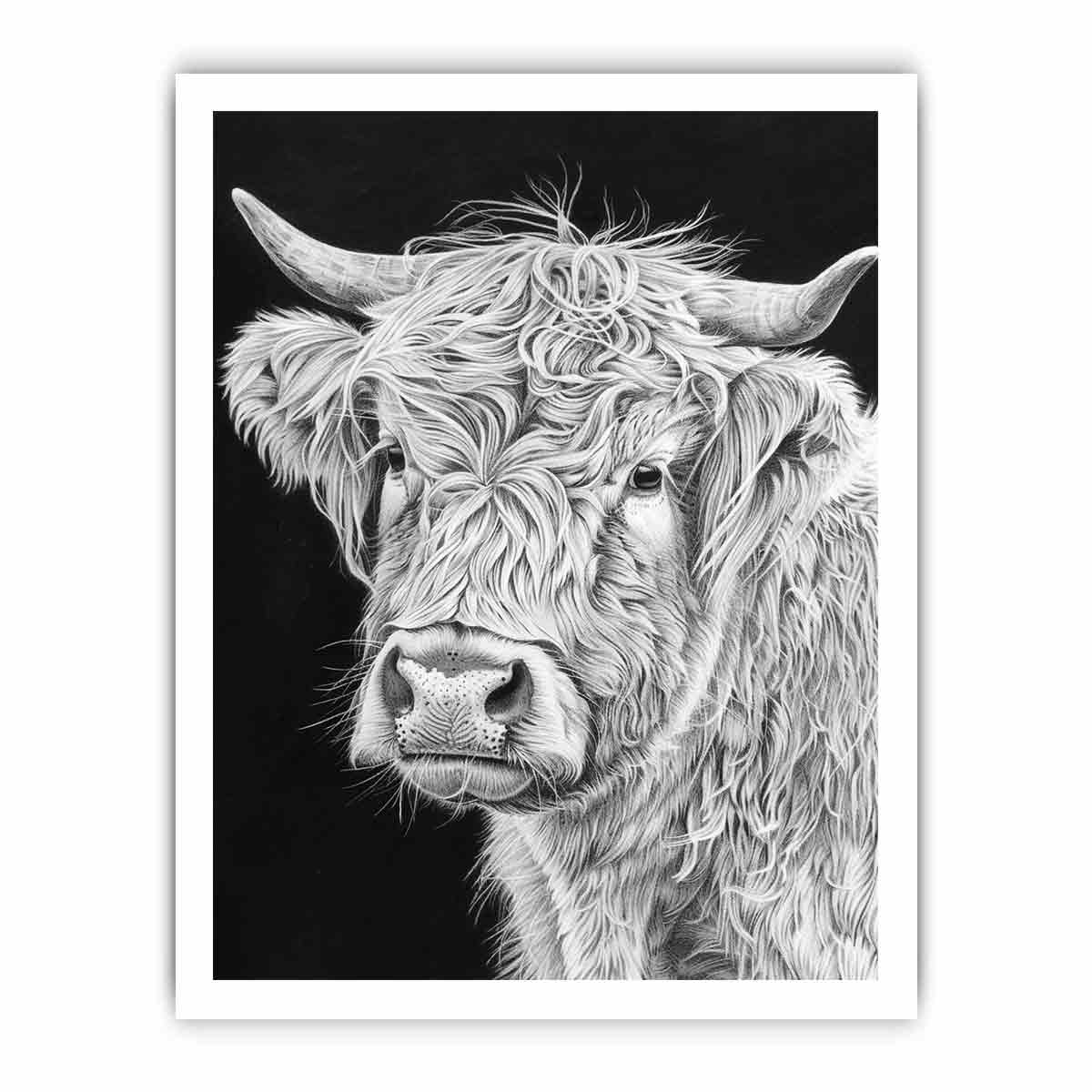 Henrietta The Highland Cow Canvas Print