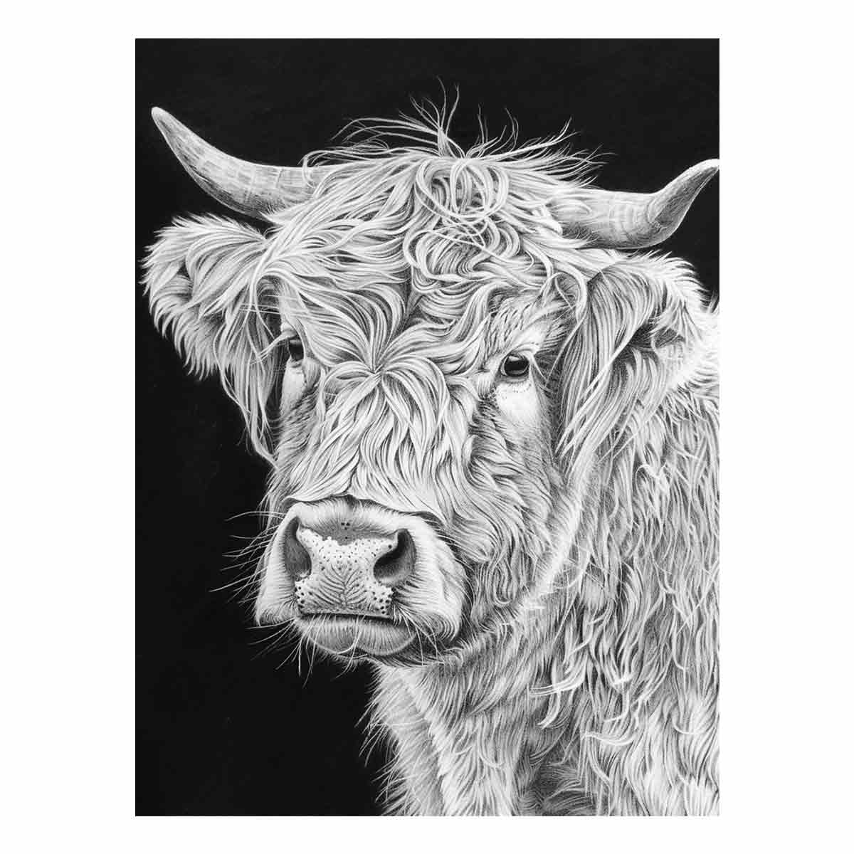 Henrietta The Highland Cow Canvas Print