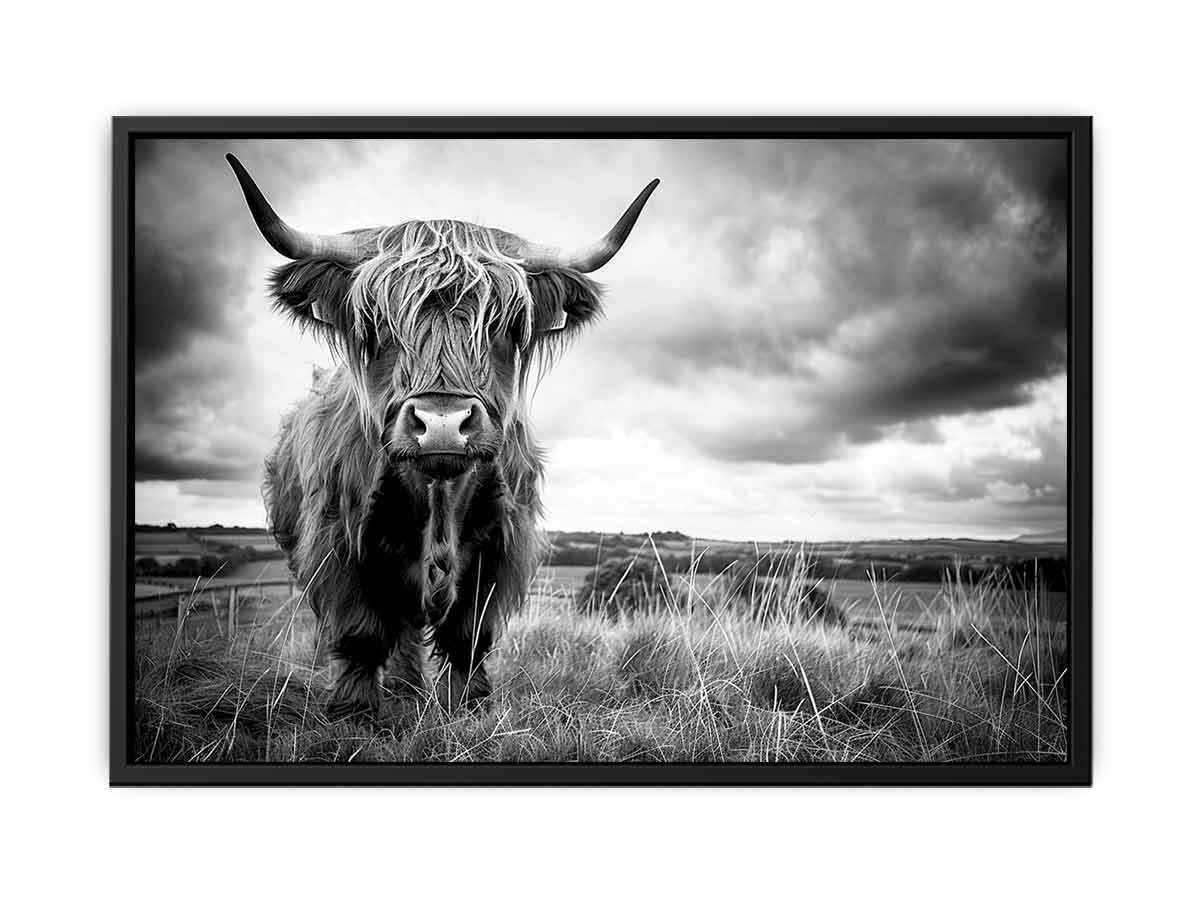 Stormy The Highland Cow Canvas Painting