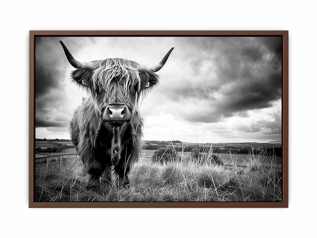 Stormy The Highland Cow Canvas Painting
