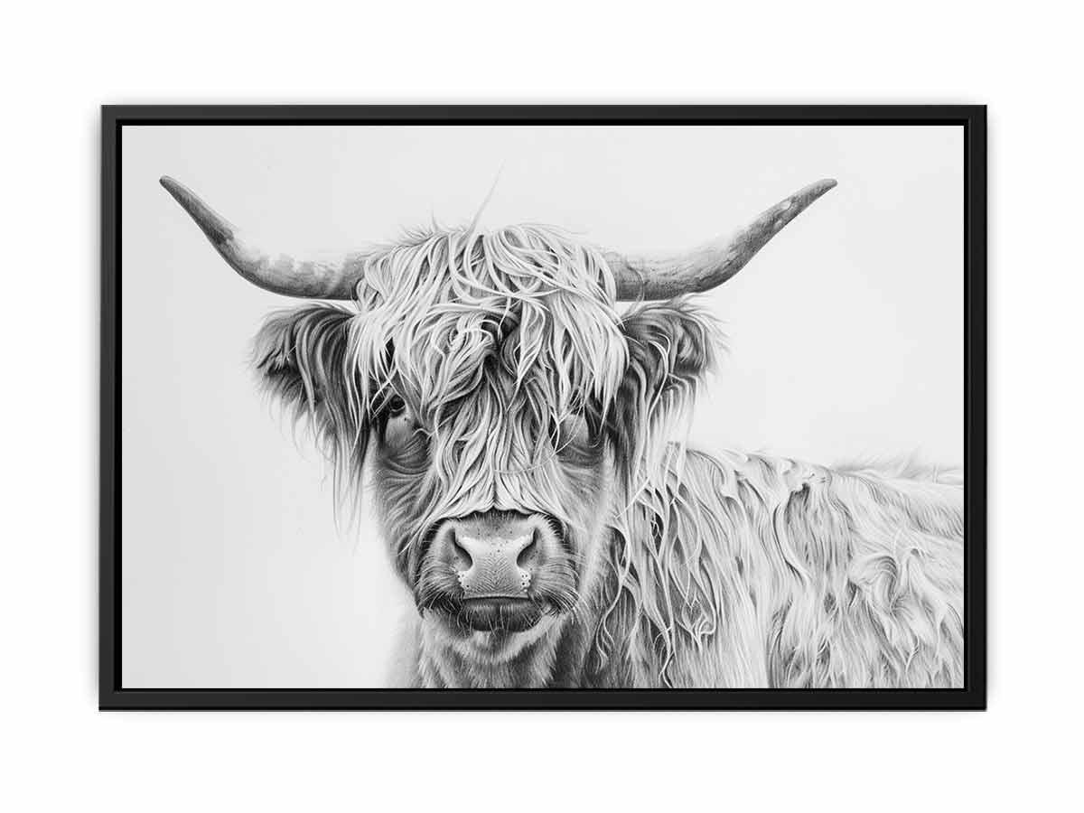 Scotland Highland Cow Canvas Print