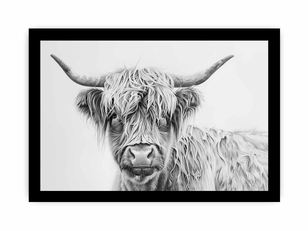 Scotland Highland Cow Canvas Print