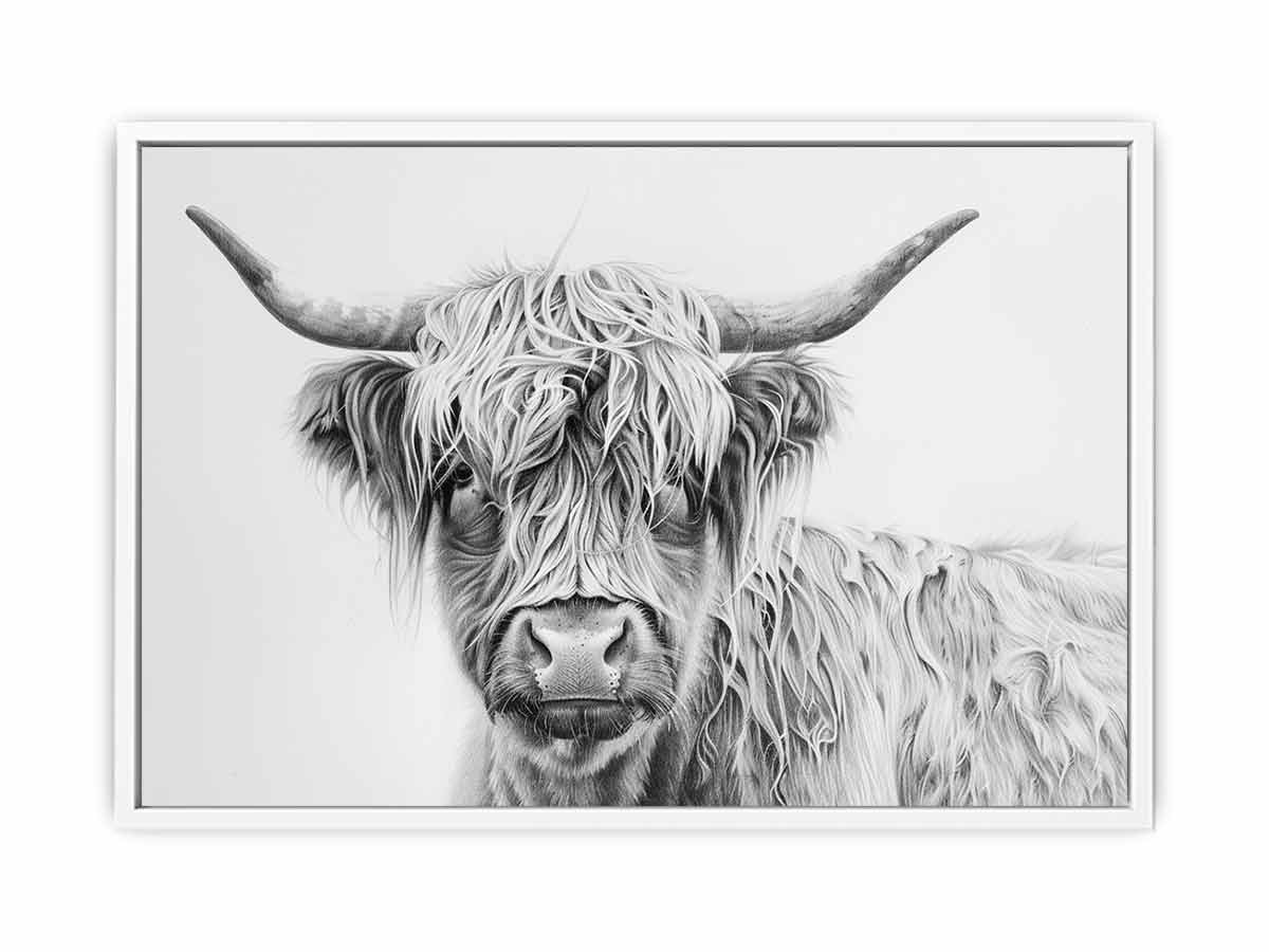 Scotland Highland Cow Canvas Print