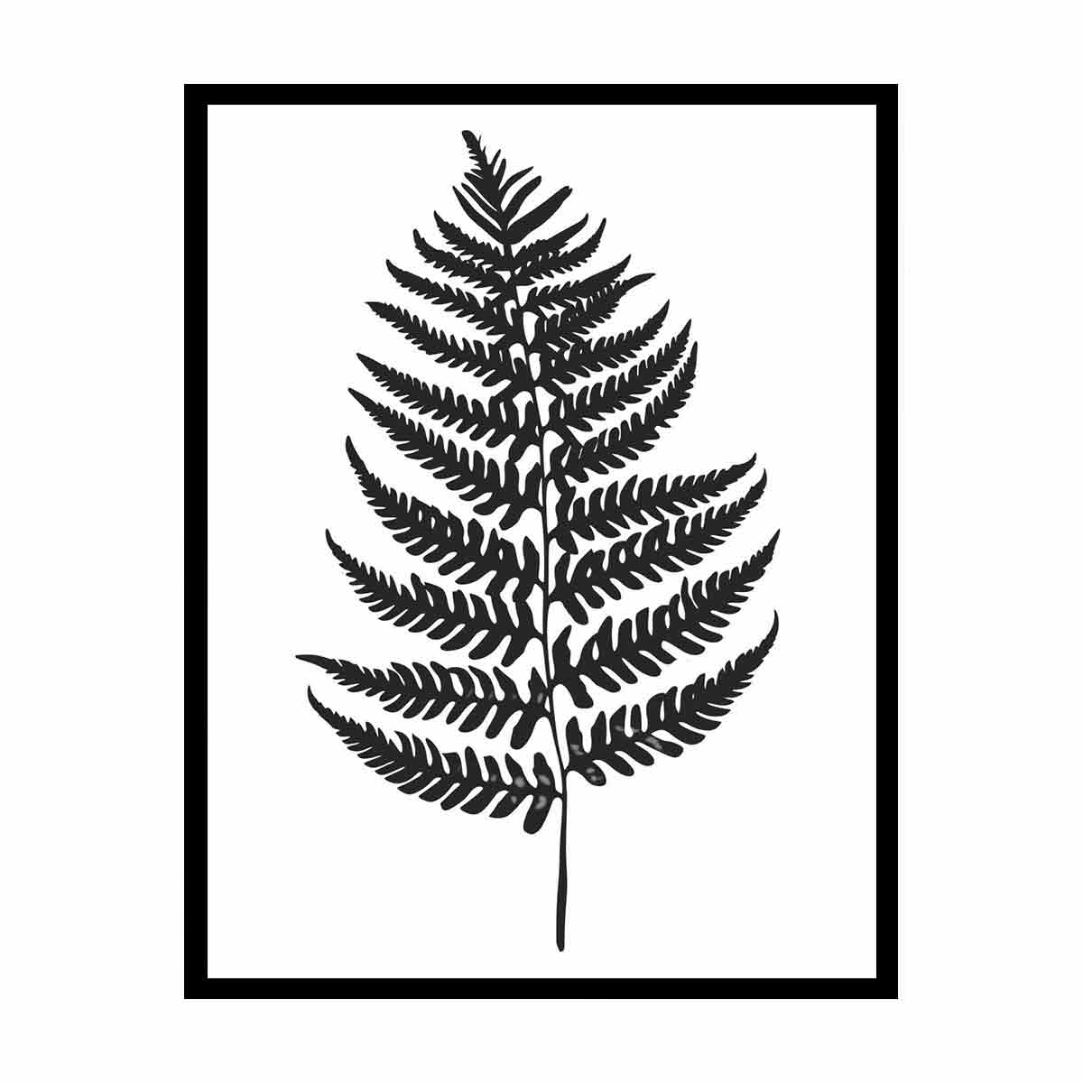 Fern Leaf  black & white Canvas Print