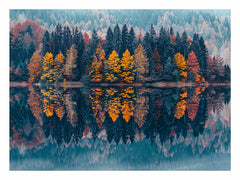 Autum  Forest Lake Canvas painting Print