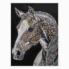 Horse  Canvas Print Poster