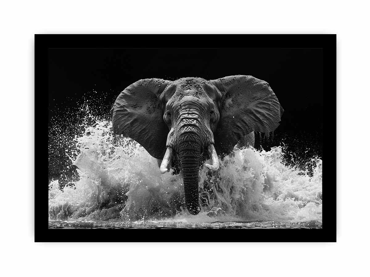 Water Elephant Canvas Print