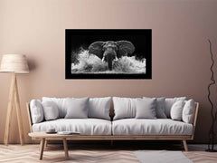 Water Elephant Canvas Print