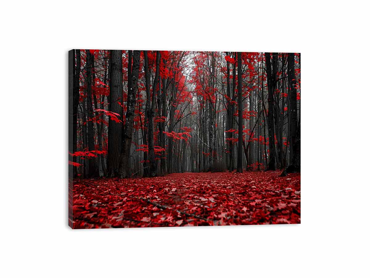 Red Forest  Tress Art Canvas Print