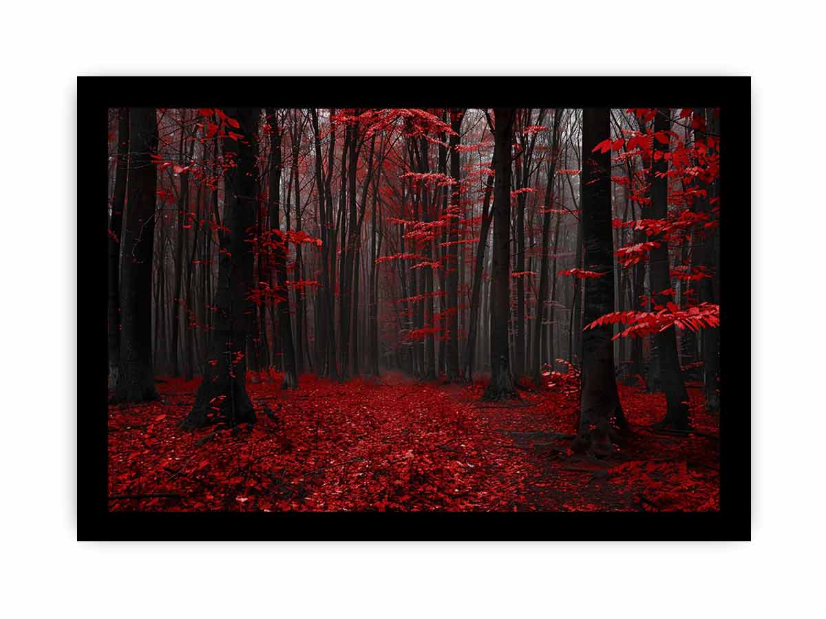 Red Trees  Phtograpahy Art Canvas Print