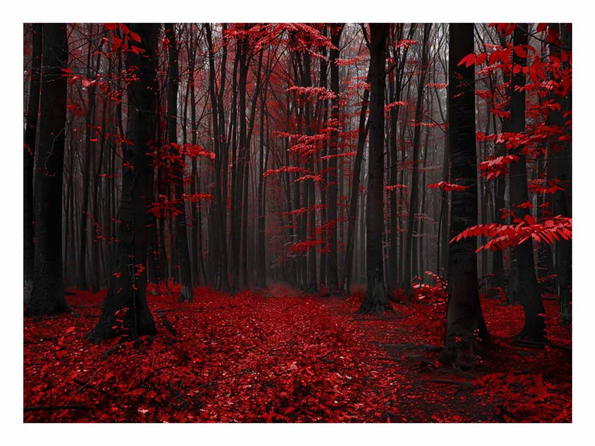 Red Trees  Phtograpahy Art Canvas Print