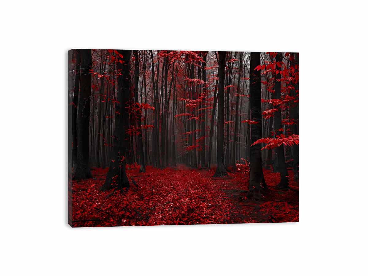 Red Trees  Phtograpahy Art Canvas Print