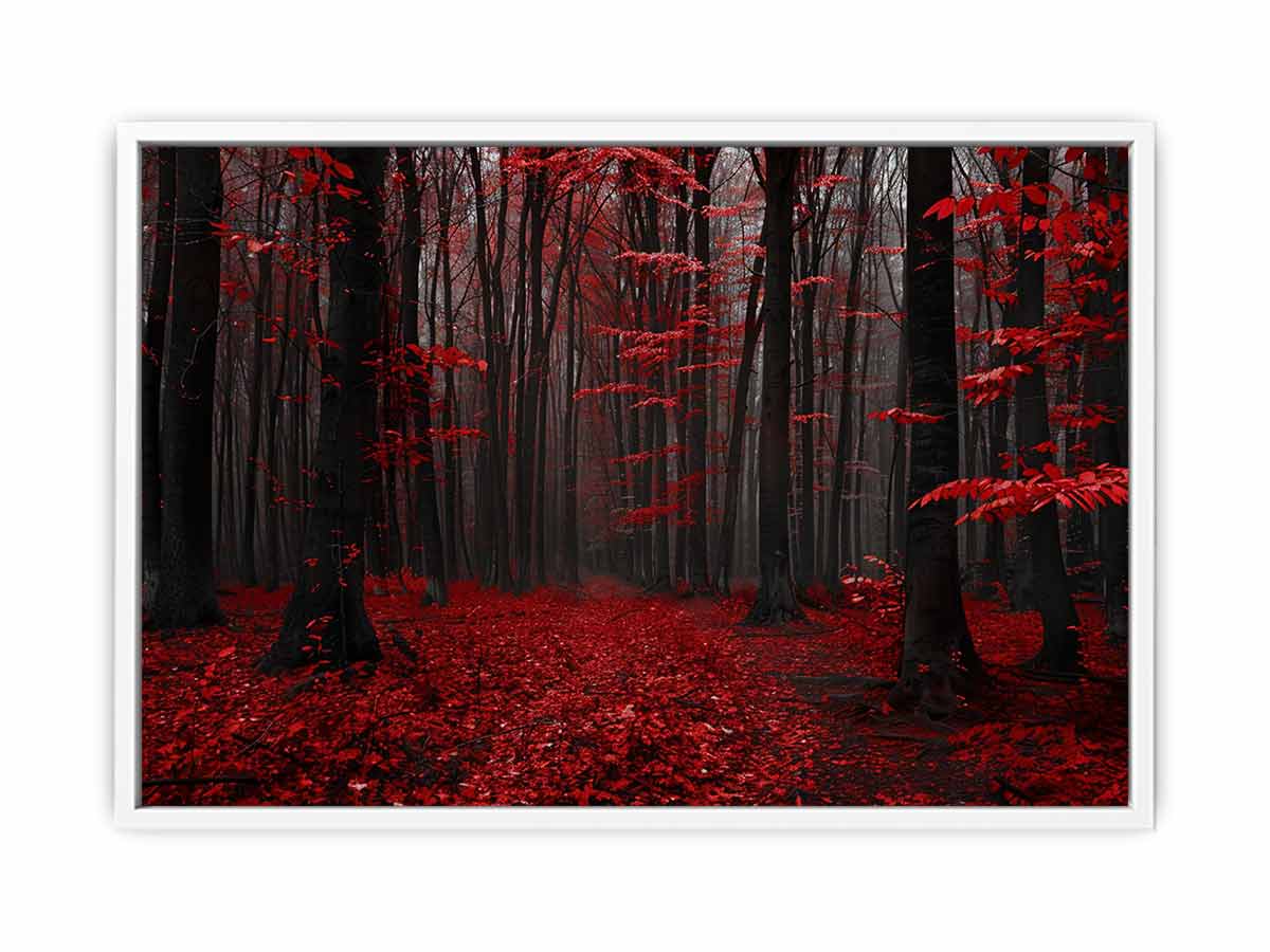 Red Trees  Phtograpahy Art Canvas Print