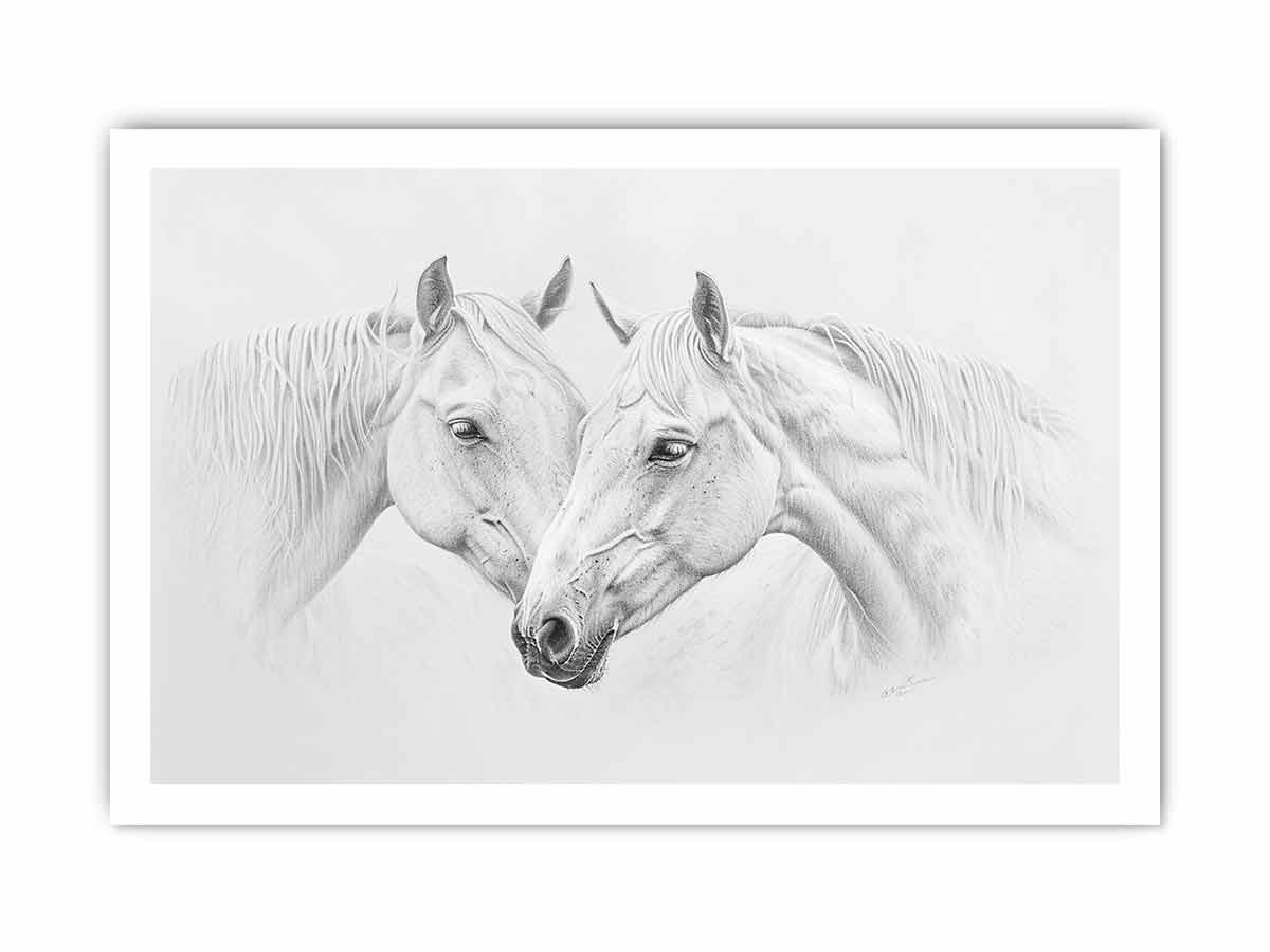 Two white  Horses  Canvas Print