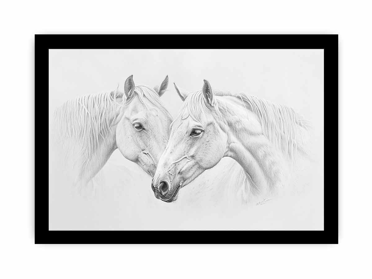 Two white  Horses  Canvas Print