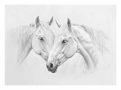 Two white  Horses  Canvas Print