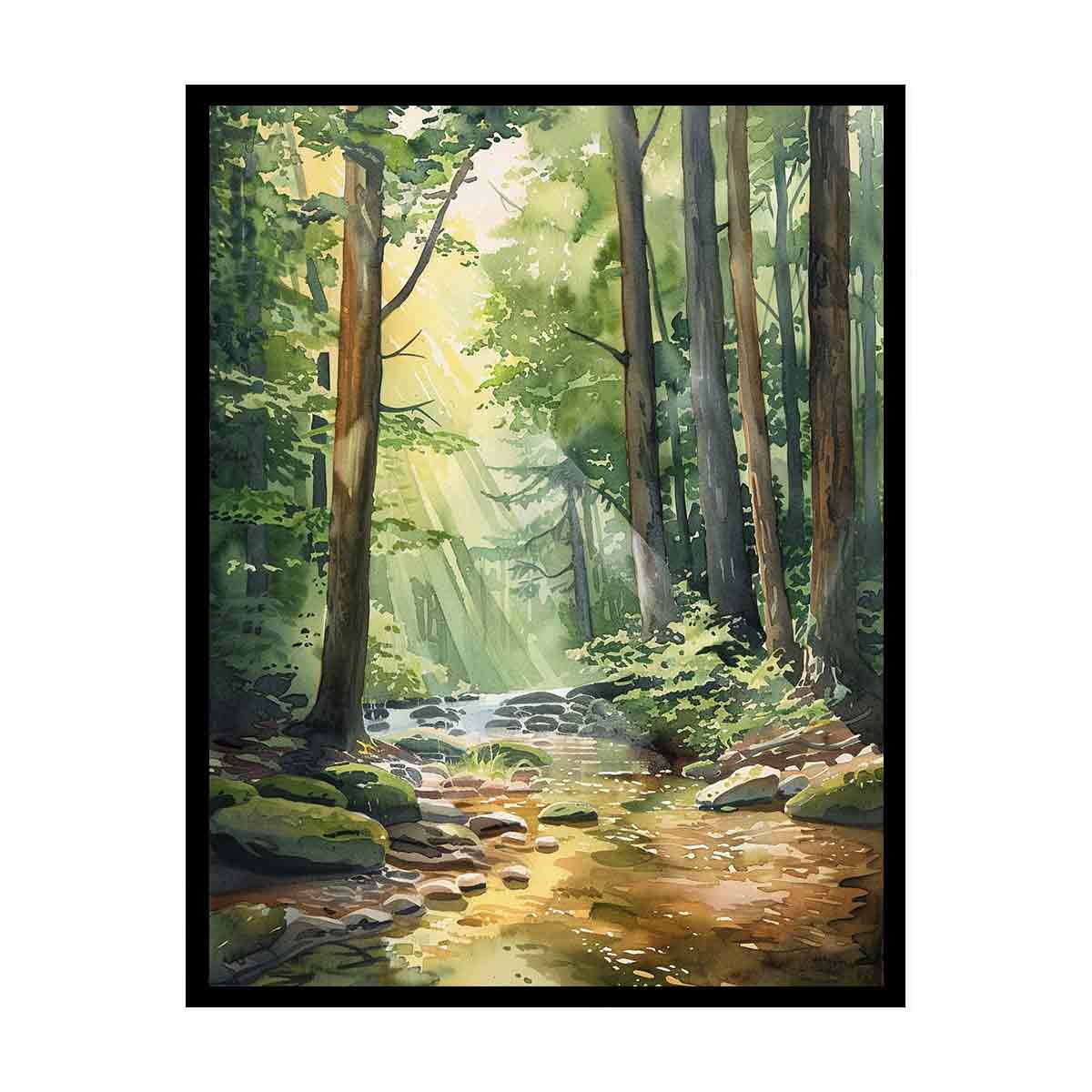 Forest Path  Canvas Print