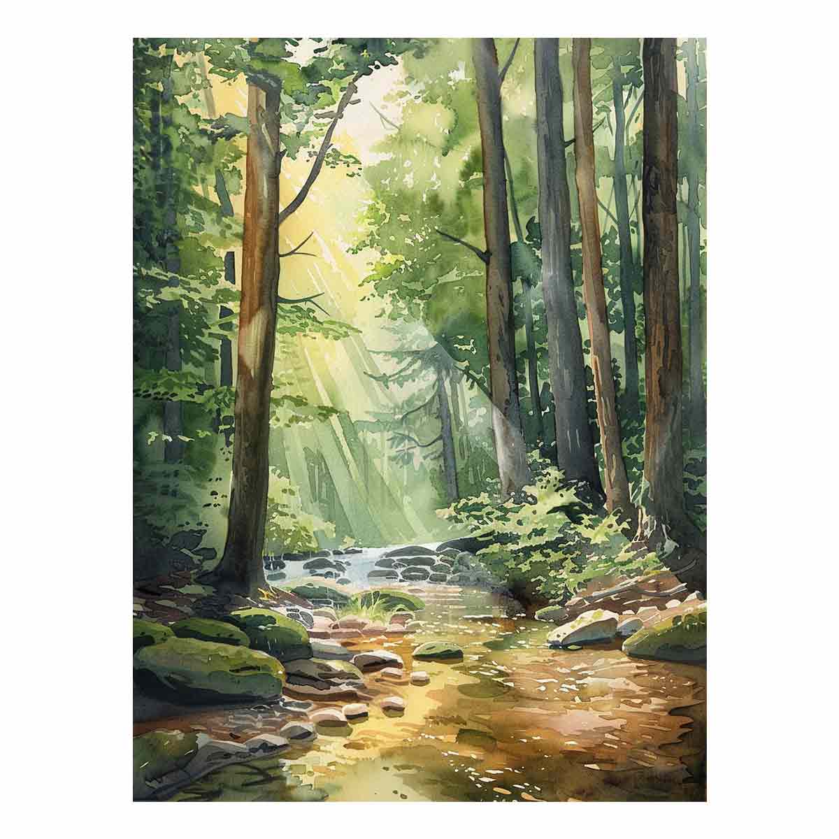 Forest Path  Canvas Print