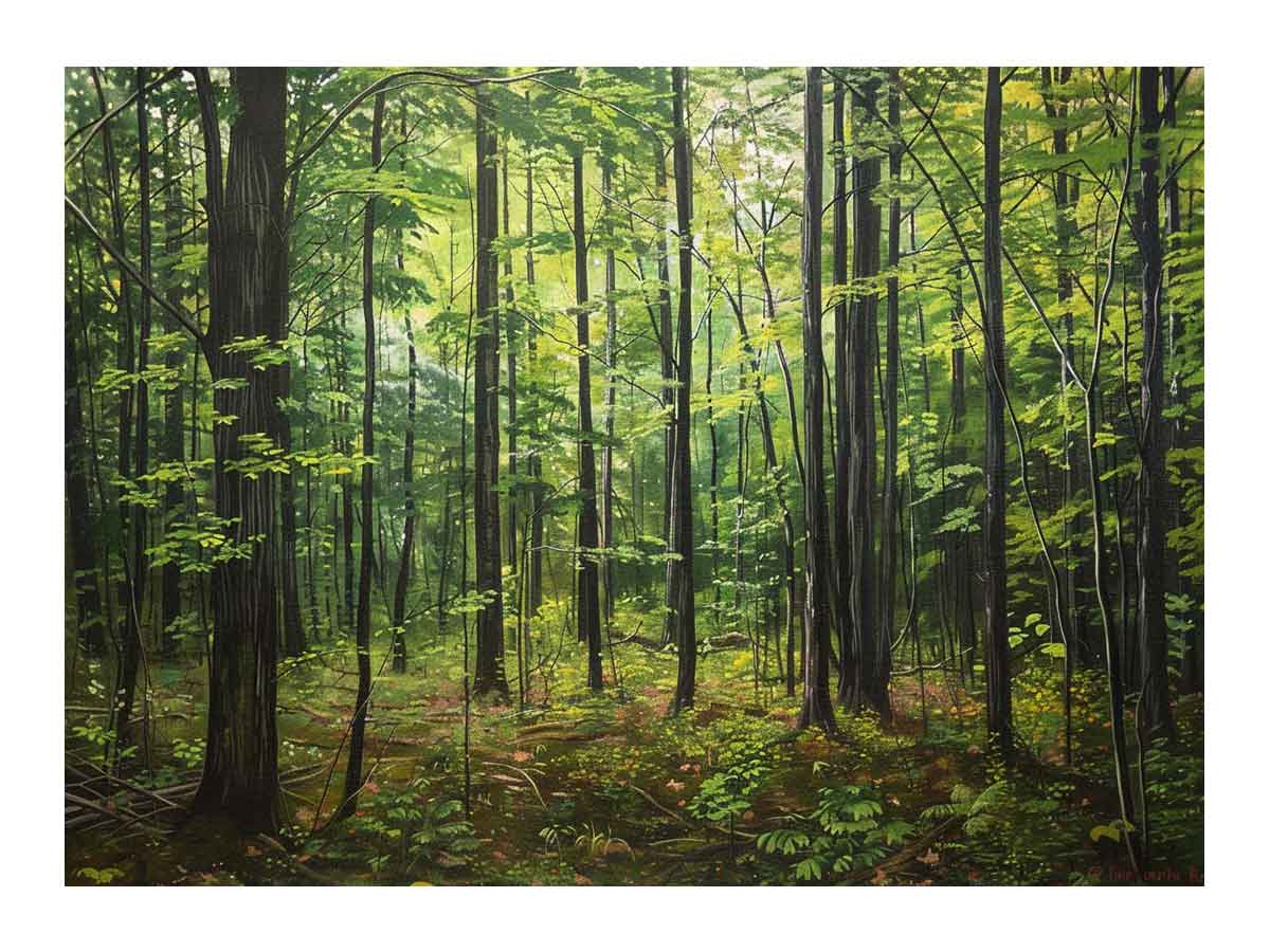 Hardwood Forest Canvas Painting